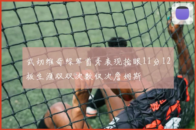 武切维奇绿军首秀表现抢眼11分12板生涯双双次数仅次詹姆斯