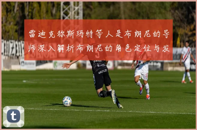 雷迪克称斯玛特等人是布朗尼的导师深入解析布朗尼的角色定位与发展方向