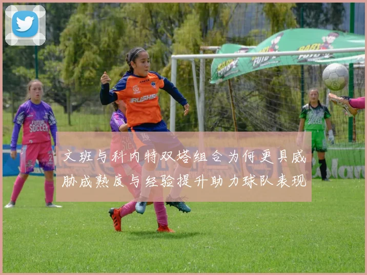 文班与科内特双塔组合为何更具威胁成熟度与经验提升助力球队表现