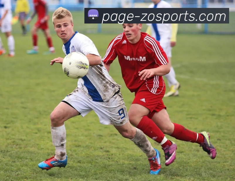 中欧体育平台生态图